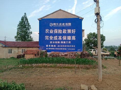 新平墙体广告为何受追捧?